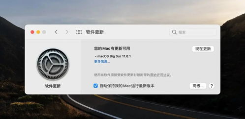 ios 裁剪圆形头像 macOS Big Sur 正式版体验 大更新 苹果把 iOS 风格搬到了电脑上...