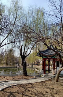 阳春3月游天津人民公园 下