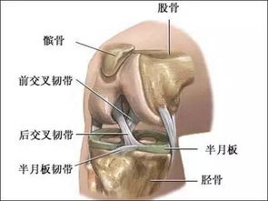 练太极膝盖疼 15个膝关节锻炼方法,8个康复锻炼术,供你参考