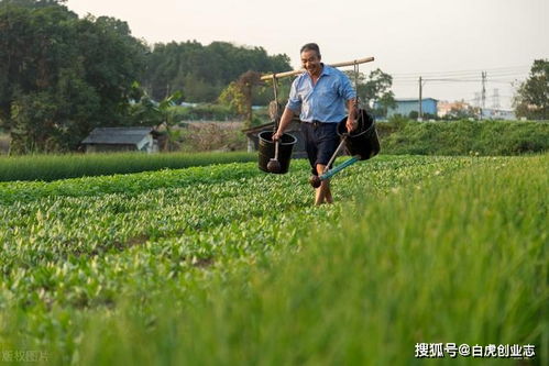 明天五月初一,老农为何说 有钱难买五月旱 今年夏季是旱吗