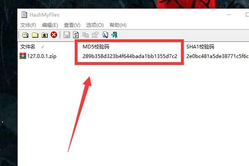 什么是MD5值 如何查看文件的MD5值 