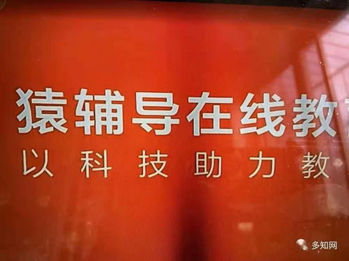 在线大班课广告语集体 焕新