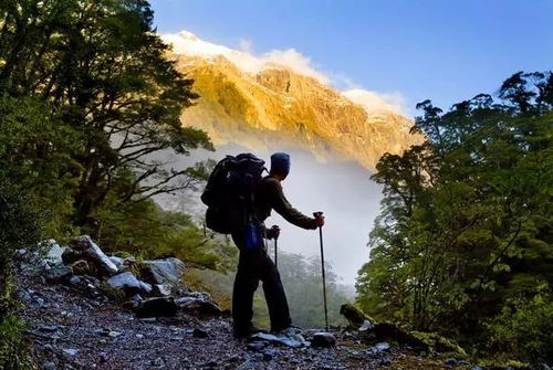 关于登山的诗句大全