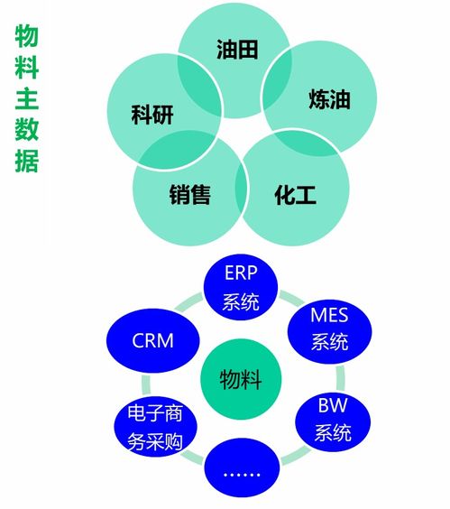 某大型石化企业百万量级的物料与工程材料主数据融合实践