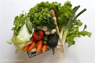 根类蔬菜有哪些种类属于根菜类的蔬菜品种,炸串蔬菜类的都有哪些品种!帮忙说几种？