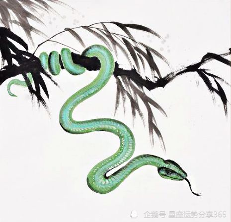2021年十二生肖周运生肖蛇4.12 4.18