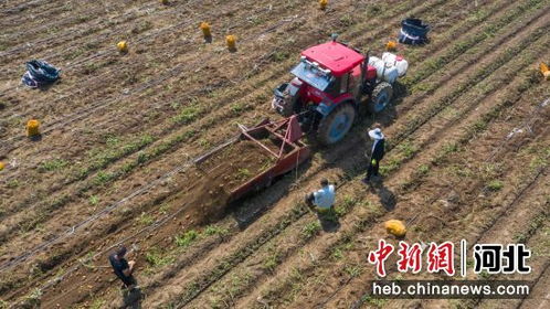 河北唐山曹妃甸八农场