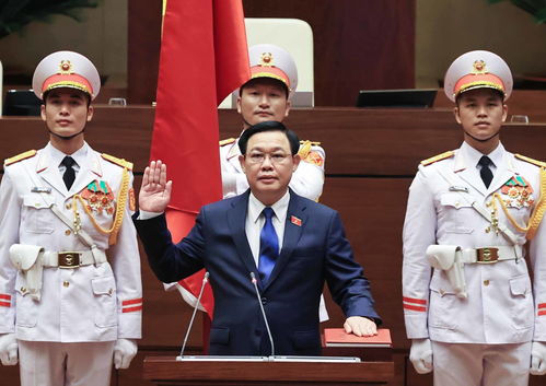王庭惠当选越南第十五届国会主席