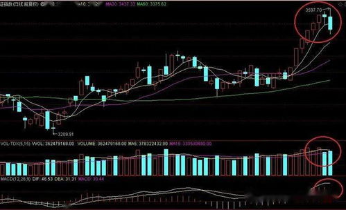 包金看盘之市场如期调整 看好5G 1月11日