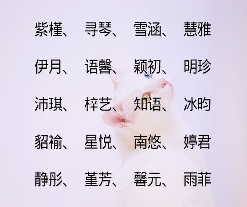 谭姓取什么名字好