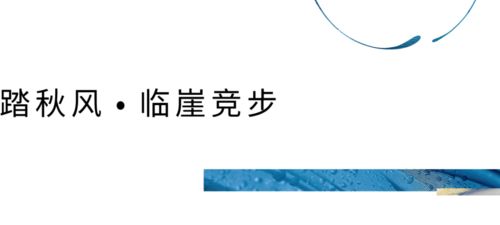 太平洋有限公司是个什么样的公司？