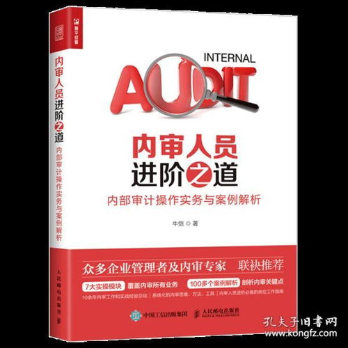 正版 内审人员进阶之道 内部审计操作实务与案例解析 企业财务会计管理 内控风控审计书籍 财务管理审计 企业管理书籍