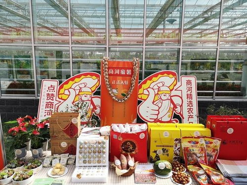 国庆来商河享鲜花和美食盛宴,200余种产品亮相农博会,等你 饱口福