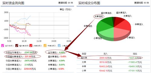 请问启明信息后市如何