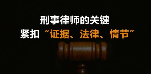 从三十一个成功案例谈如何做一个优秀的刑事律师