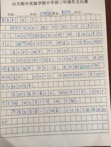 厨王争霸,尽享舌尖美味 小学部三年级作文比赛