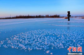 新疆哈巴河湿地成天然冰场 