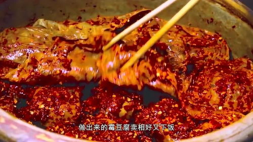 李子柒又秀 好厨艺 ,纯手工制作 霉豆腐 ,卖相好又下饭 