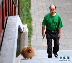 郑州禁犬行动下最后通牒 组图