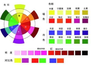 白色和黑色属于深色系还是浅色系颜色呢 