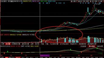 连续跌停换手率成交量放大股价不涨是什么原因？