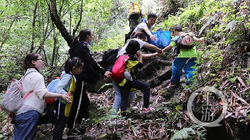 30名小朋友徒步6公里 征服南山荒野步道