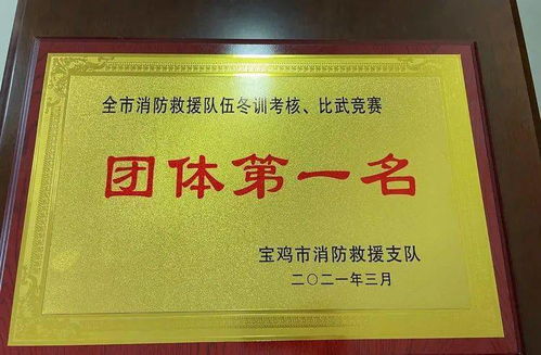 高新消防救援大队勇夺全市冬训练兵比武竞赛团体第一名