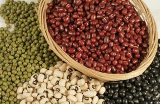 豆类一共有多少种,豆名是什么如黄豆,绿豆,红豆 