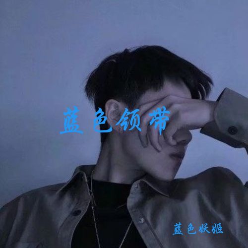 你的容颜 蓝色妖姬 高音质在线试听 你的容颜歌词 歌曲下载 酷狗音乐 