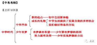 为什么初中生活是个新的起点