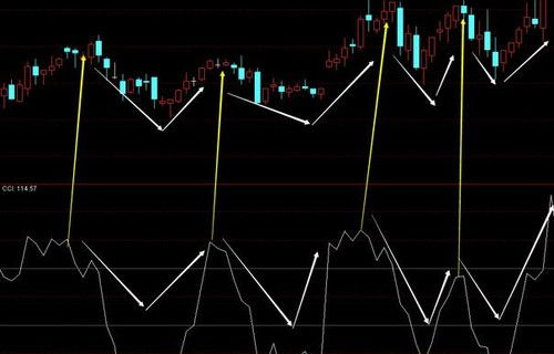 如何知道基金经理买入和卖出了哪支股票？