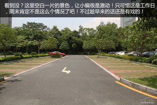 贵阳那些公园免费停车(大鹏公园停车场收费不免费)