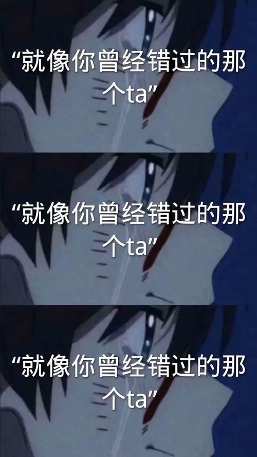 扎心情感语录 