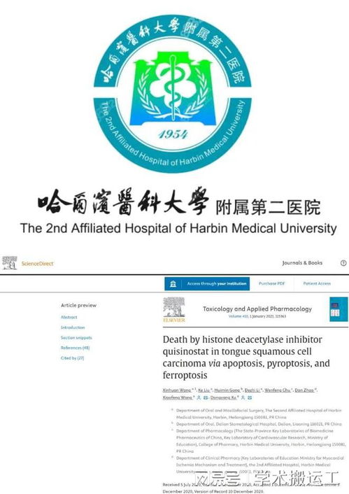 哈尔滨工程大学硕士论文查重率检测工具推荐