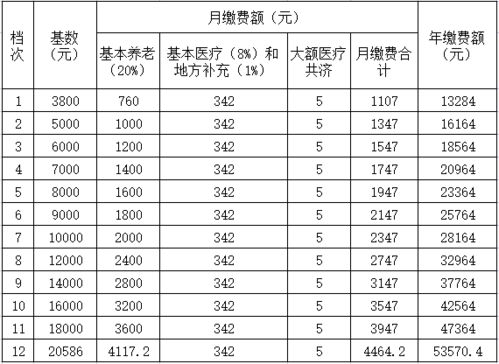 灵活就业社保怎么缴费交多少(包头市九原区灵活就业养老保险费)