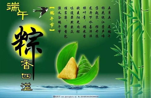 端午节的名言用英语_端午名言佳句？