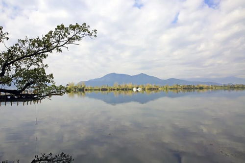 住在一个名叫西昌的小城中,细品夏天的味道