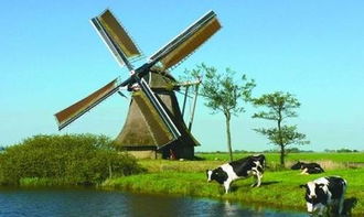 荷兰农业闻名世界的原因,中国农业该如何赶超
