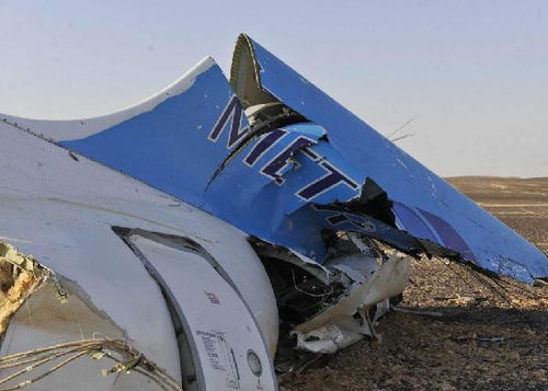 俄客机失事黑匣子略受损 俄埃双方均质疑IS 击落客机 说