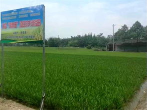 岷江现代农业示范园区获全国农村创新创业园 中国农业公园称号 