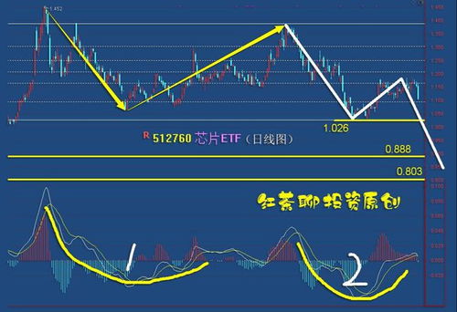 把钱投到股票型基金里面什么时候才能算陪完，股票型基金会不会有天关闭