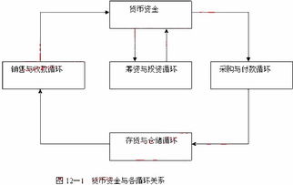 货币资金审计涉及的凭证和会计记录主要有哪些