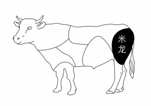 小米龙是牛什么位置图片