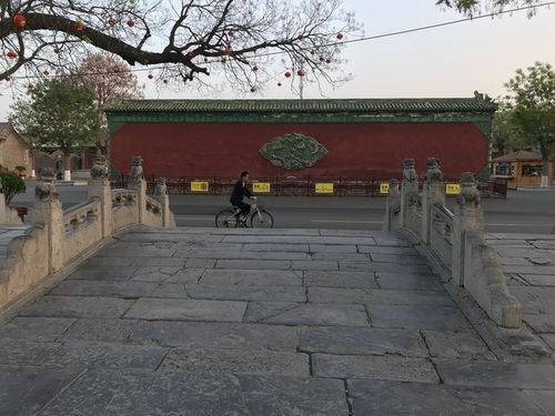 大智禅寺免费停车场怎么样,北京周边自驾可以带狗狗去玩的地方