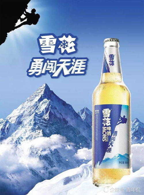 中国的地方啤酒公司为何倒闭或被收购