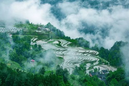 在中国,每一场雨都有自己的名字