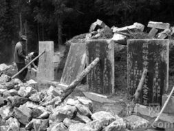 建坟地被砍掉的杉树被当做了撑墓碑的支架。