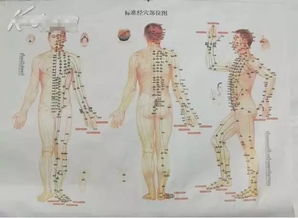 为什么要疏通经络 经络不通的14个危害