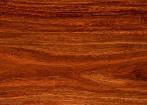 木地板木纹图片专题,木地板木纹下载 