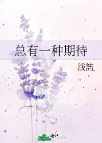 励志偶像剧介绍语-仲夏夜之星一共多少集？